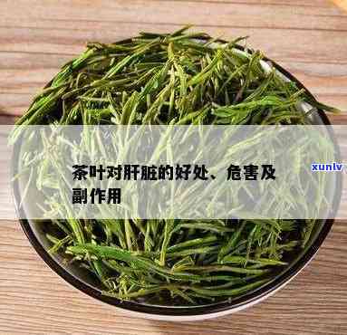 茉莉龙珠用什么茶叶泡，如何冲泡出美味的茉莉龙珠茶？