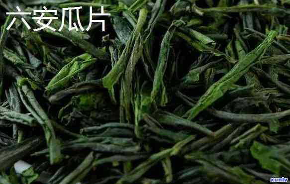 顺义六安茶：推荐年份与介绍