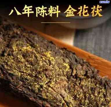 八仙金花茯茶的功效和作用，探究八仙金花茯茶的神奇功效与作用