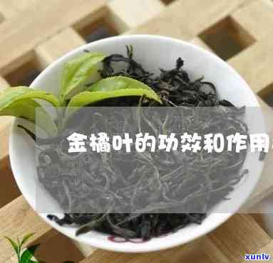 金橘叶金茶的功效-金橘叶金茶的功效与作用