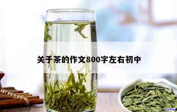 探究多喝茶的利弊：一篇全面的800字作文