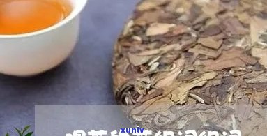 茶的组词是什么啊，探索茶叶世界：茶的组词大揭秘