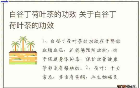 白古丁荷叶茶的功效：降血脂、减肥、清热解等