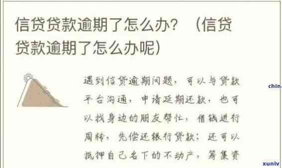 发贷款两笔逾期-发贷款两笔逾期怎么办