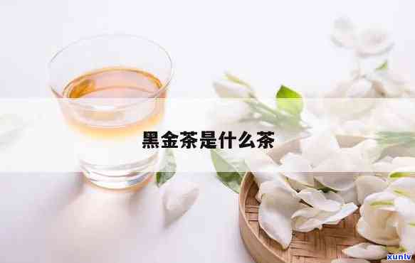 黑金仔茶的功效-黑金仔茶属于什么