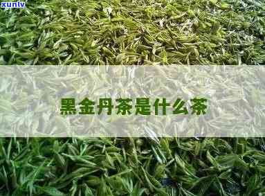 黑金仔茶的功效-黑金仔茶属于什么