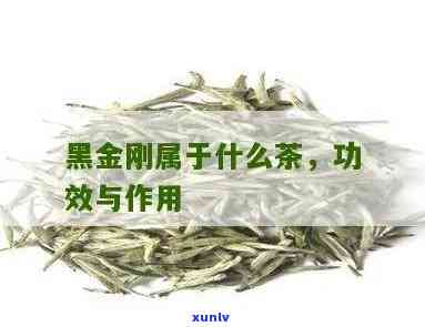 黑金仔茶的功效-黑金仔茶属于什么