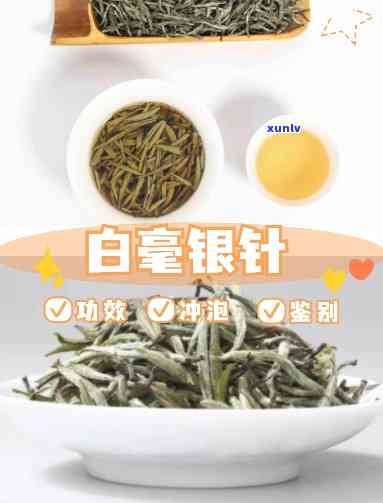 喝白毫银针茶有什么好处，品味健：喝白毫银针茶的好处