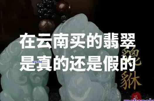 普洱茶的魅力：难以抗拒的紧实叶片与浓香气