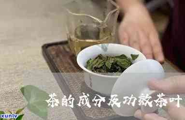 分解茶的作用和功效-分解茶的作用和功效是什么