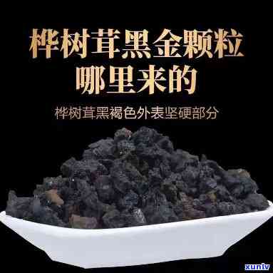 黑金桦树茸代茶饮：揭秘其功效与作用