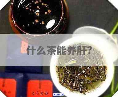 养肝茶的成分及功效-养肝茶的成分及功效与作用