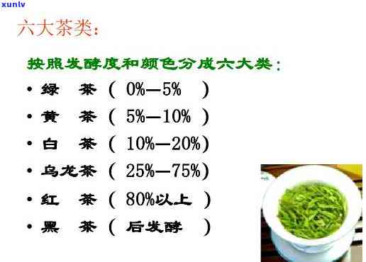 六大茶的分类及功效全解析