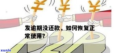 发逾期还款后什么时候可以正常采用，怎样知道发逾期还款后何时恢复正常采用？