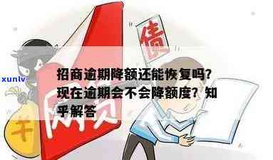 2020年信用卡逾期下半年政策更新：8月份生效，全面解答用户疑问及应对策略