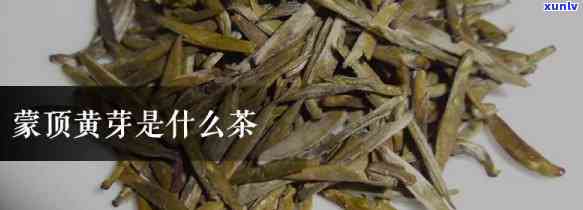 顶黄芽：它属于黄芽茶还是绿茶？