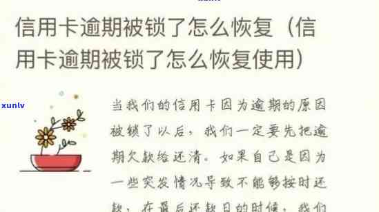 发卡逾期已上锁：含义解析