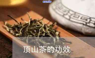 顶茶的特点与功效-顶茶的特点与功效与作用