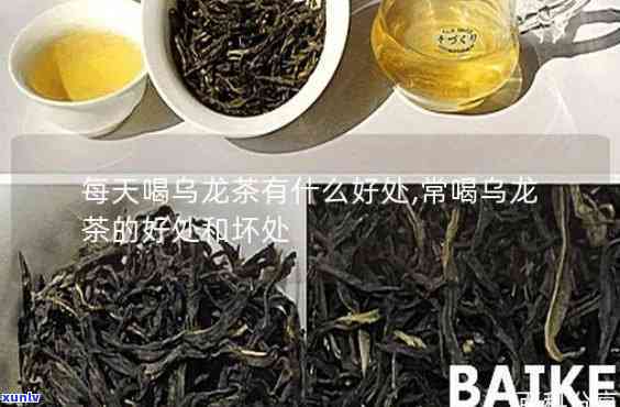 大乌茶的作用与功效-大乌茶的作用与功效禁忌