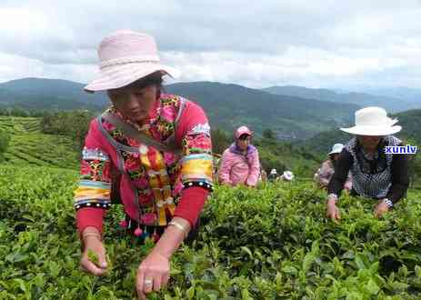 瓷茶叶罐好用吗？效果如何，销量如何？