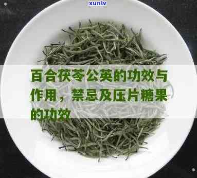 探究茯苓公英茶的功效：全面解析其作用与好处