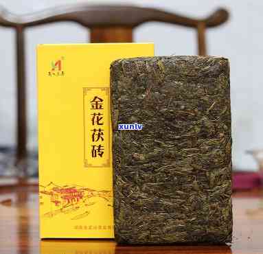 安化金花茯茶的功效-安化金花茯茶的功效与作用