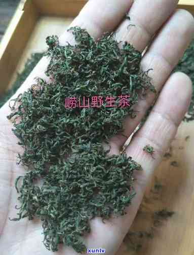 崂山芊罗叶茶的功效-崂山芊罗叶茶的功效可以用开水泡吗