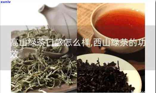 深入了解高山茶的作用与功效及其禁忌