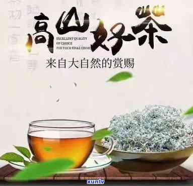 高山茶的作用与功效-高山莓茶的作用和功效与禁忌