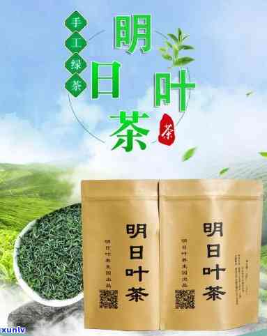 明叶茶价格及作用：多少钱一斤？明叶茶的功效全揭秘