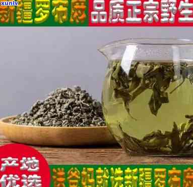 新芽罗布麻茶哪个牌子好？价格多少？全面解析茶叶种类