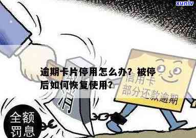 发卡逾期停用了-发卡逾期停用了怎么恢复