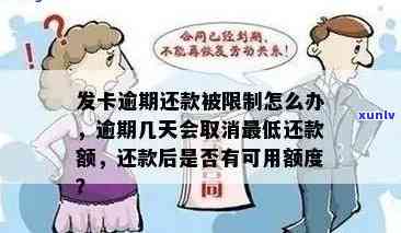 发逾期几天一次性还款有减免吗，发逾期几天，一次性还款能否减免？