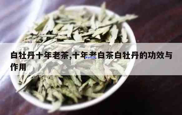 陈年白牡丹茶的功效、作用及禁忌全解析