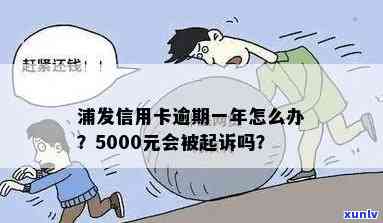 浦发银行逾期一年，金额5000是不是会面临起诉？