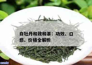 小青柑：普洱熟茶还是生茶？解答关于小青柑的两种类型及其特点