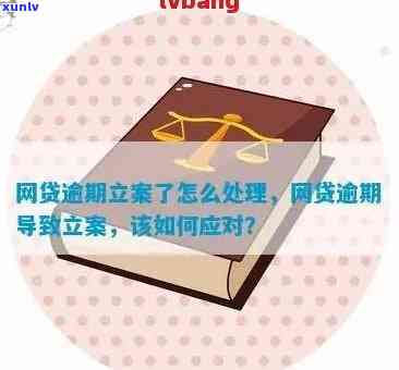 网贷逾期移交当地相关部门立案解决，网贷逾期：案件将移交给当地相关部门实施立案解决