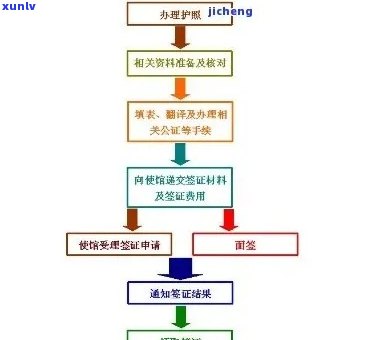 怎样解决入境逾期：出境申请指南