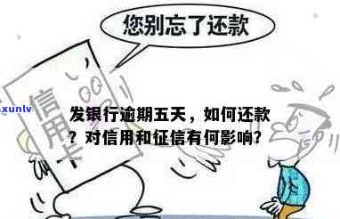 发银行逾期5天，怎样解决？