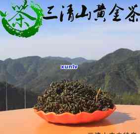 三清山黄精茶的功效-三清山黄金茶是什么茶