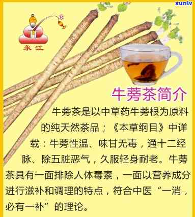 牛蒡茶的二十种搭配 *** 全解：图文 视频教程