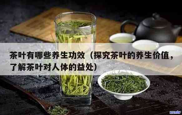 茶的营养价值与功效作文，《探究茶的营养价值与功效：一杯健饮品的秘密》