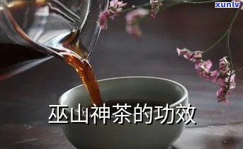 重庆山神茶的功效-山神茶的功效与作用