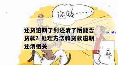 发逾期一次还清能贷款吗，发逾期还款后能否再次申请贷款？