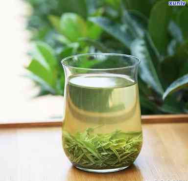 草本茶：究竟属于什么类型的茶叶？