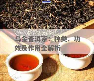 仲乌金是哪类茶，探究茶叶品种：了解仲乌金的分类和特点