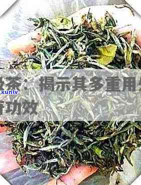 无极茶的用处：揭示其功效与作用