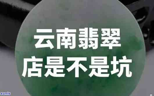 什么玉石长寿花好养、好活又好看？全攻略在此！