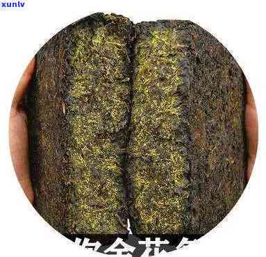 小金伏黑毛茶的功效-小金茯黑茶的功效