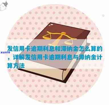 信用卡逾期后的贷款解决方案：寻找最适合您的借款途径和注意事项